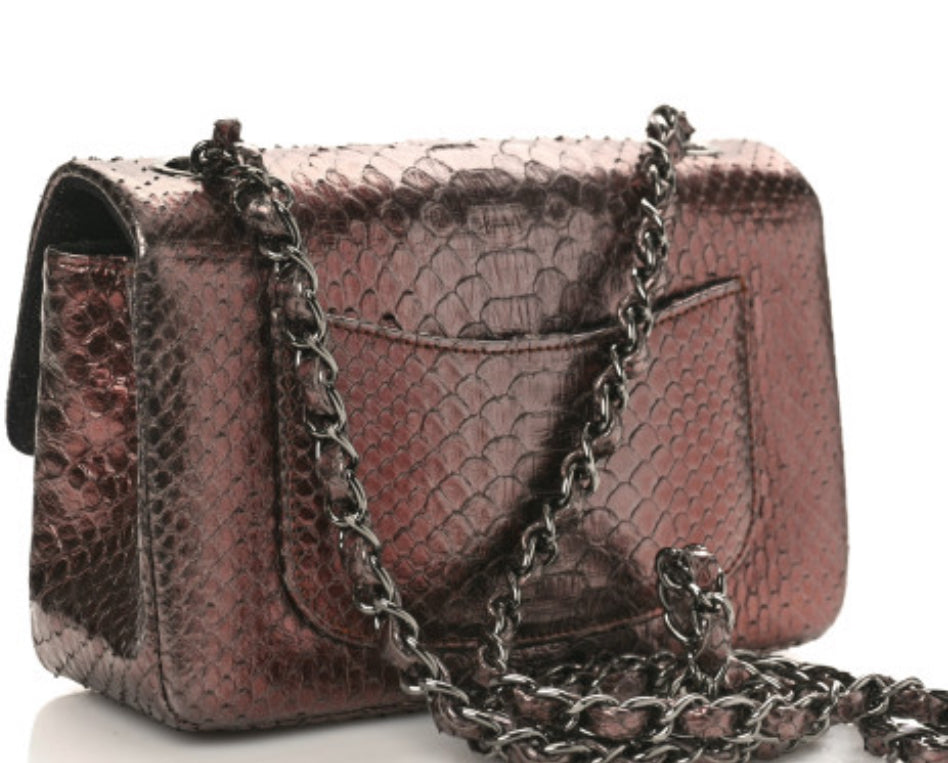 Chanel snakeskin bag